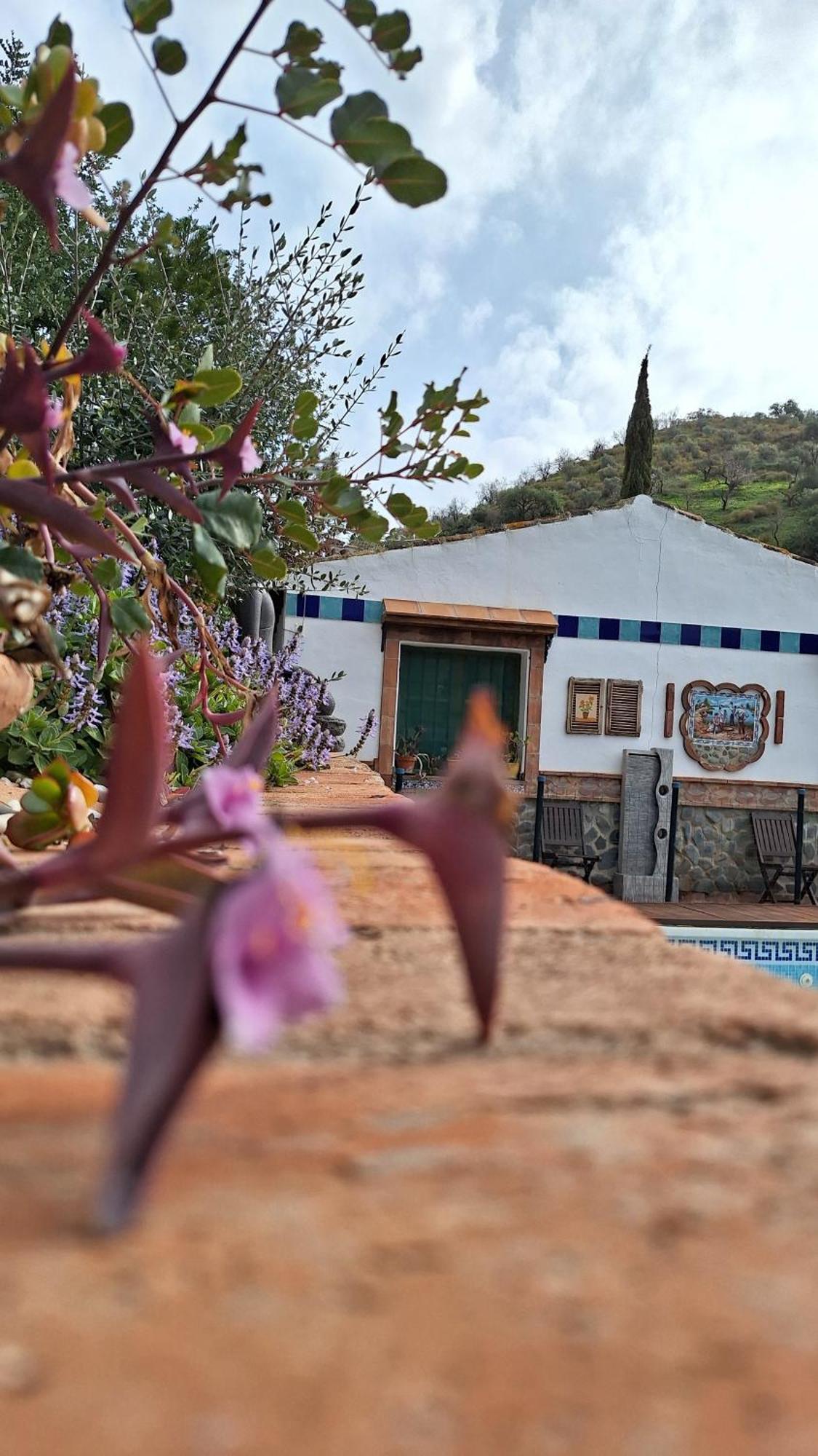 Finca Los Burros Totalan Екстер'єр фото